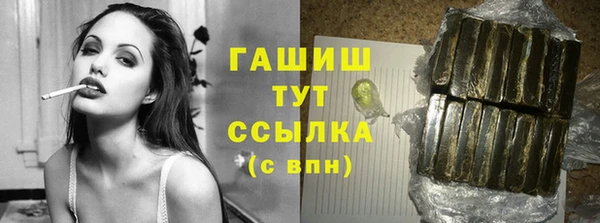 гидра Вязьма