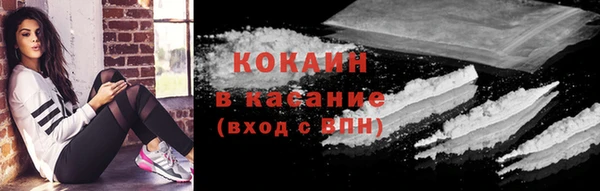 apvp Вяземский