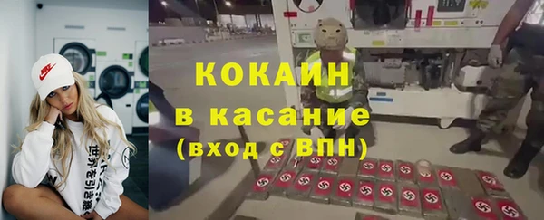 гидра Вязьма
