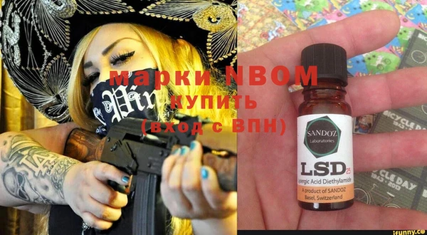 гидра Вязьма