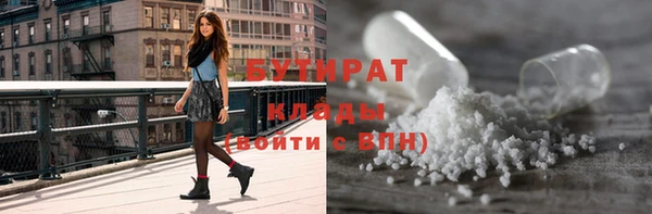 гидра Вязьма