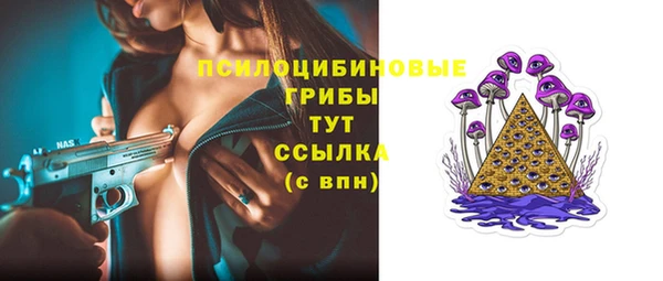apvp Вяземский