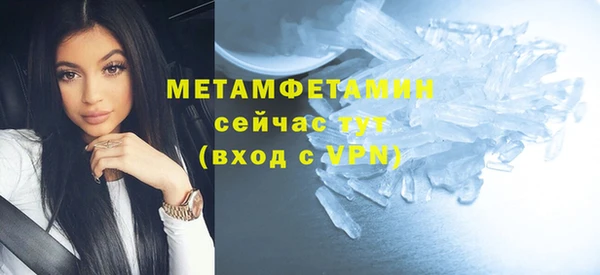 гидра Вязьма