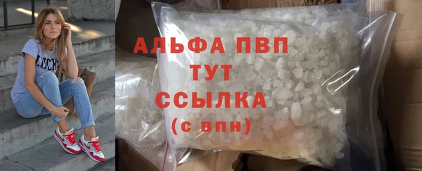apvp Вяземский