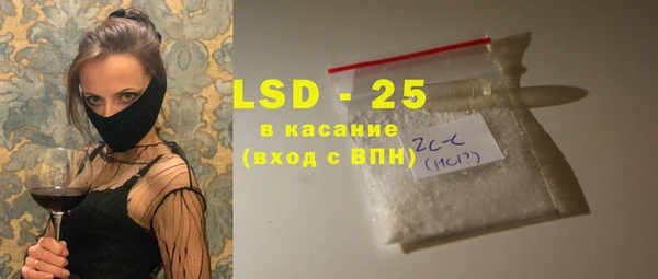 гидра Вязьма