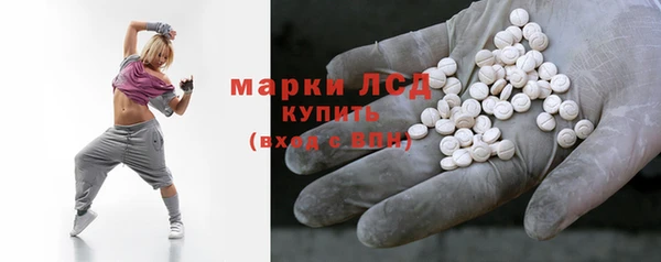 гидра Вязьма