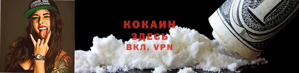 дживик Вязники