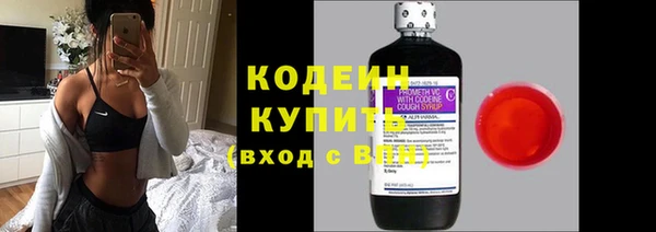 гидра Вязьма
