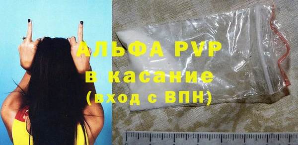 гидра Вязьма