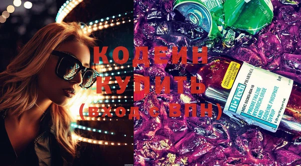 apvp Вяземский
