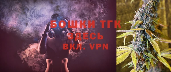 apvp Вяземский