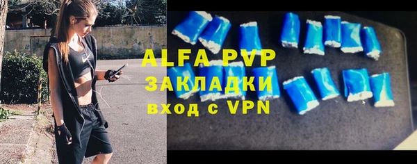 гидра Вязьма