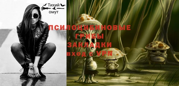 дживик Вязники