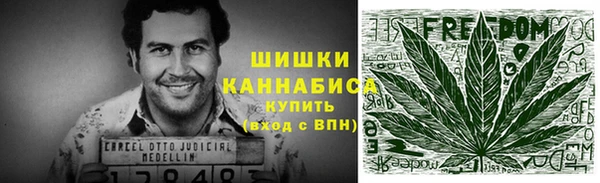 apvp Вяземский