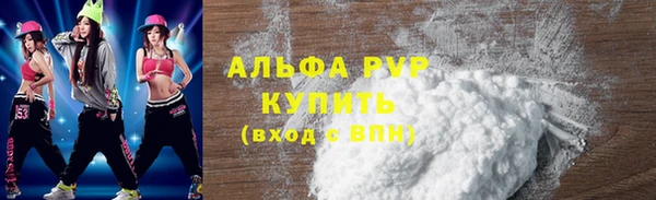 гидра Вязьма