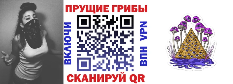 Галлюциногенные грибы GOLDEN TEACHER  закладка  Красный Холм 
